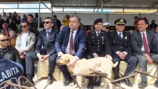 Balıkesirde 19 Mayıs törenlerinde protokol tribününe çıkan köpek ilginç görüntüler oluşturdu
