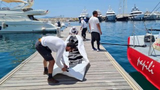 Cumhurbaşkanlığı 3. Uluslararası Yat Yarışlarında ilk tekne Bodruma ulaştı