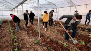 Mardinde meslek lisesinde uygulamalı tarım eğitimi
