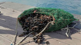 Sarıyerde amatör olta balıkçıları ve denizde kaçak midye avcılığı denetimi