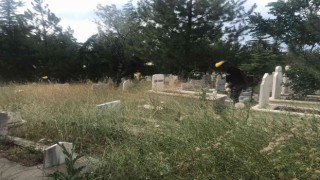 Bayram öncesi mezarlıklar bakıma alındı