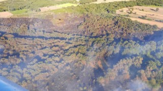 Çanakkaledeki orman yangını kontrol altına alındı
