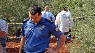 Antalyada zeytinlik alanda 23 yaşındaki gencin cesedi bulundu