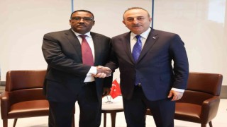 Dışişleri Bakanı Çavuşoğlu, Etiyopya Başbakan Yardımcısı ve Dışişleri Bakanı Demeke Mekonnen ile görüştü