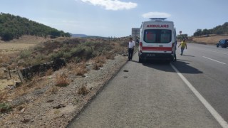 Bingölde kamyonet devrildi: 1 yaralı