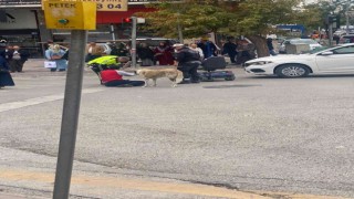 Sokak köpeği otomobilin çarptığı vatandaşın başından ayrılmadı