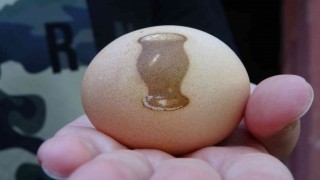 Tavuk, vazo desenli yumurtladı görenler şaşırdı