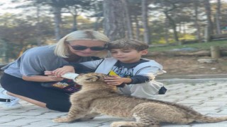 Ünlü oyuncu Ece Erken 3 aylık yavru aslanı elleriyle besledi