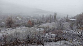 Adanaya sezonun ilk karı yağdı