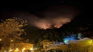 Bartındaki orman yangını yerleşim bölgesine ulaşmadan kontrol altına alındı