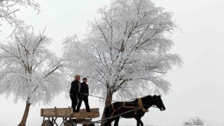 Doğu Anadolunun yüksek kesimlerinde kar yağışı