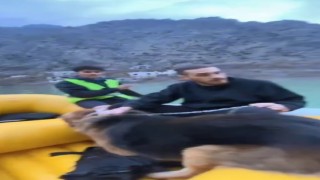 Artvinde baraj sularının yükseldiği köyde mahsur kalan köpek botla kurtarıldı
