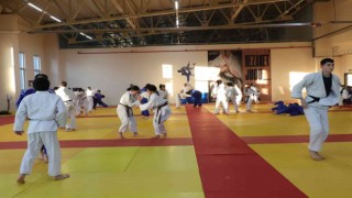 Karamanda 250 sporcu judo ortak çalışma kampında buluştu