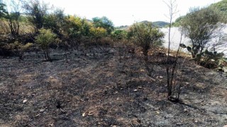 Alanyada, bahçe yangınında meyve ağaçları ve sulama sistemi zarar gördü