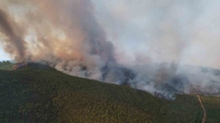 Milastaki orman yangını havadan görüntülendi