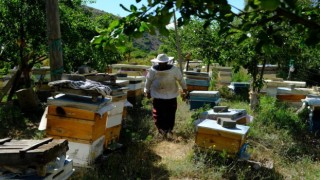 Erzincanda arıların tatlı uykusu başlıyor