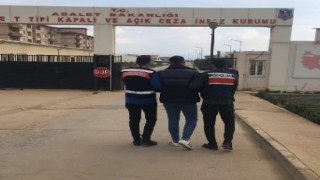 Jandarmanın yakaladığı 43 hırsızlık şüphelisi tutuklandı