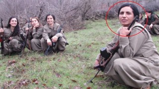 MİT terör örgütü PKKnın sözde Toplumsal Alan Sorumlusu Gülsüme Doğanı etkisiz hale getirdi