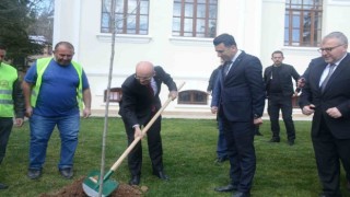 Hazine ve Maliye Bakanı Mehmet Şimşek Bilecikte çınar fidesi dikti