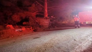 Çanakkalede otomobil ağaca çarptı, 2 kişi hayatını kaybetti