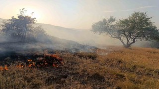 Afyonkarahisarın Hıdırlı Tepesi mevkiindeki ormanlık alanda yangın çıktı. İtfaiye ekiplerinri yangına yoğun müdahalesi sürüyor.