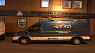 Beşiktaş Belediyesi yangın felaketinin yaşandığı bölgeye hayvan ambulansı gönderdi
