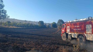 Bilecikte çıkan yangında 130 dönüm buğday ekili alan zarar gördü