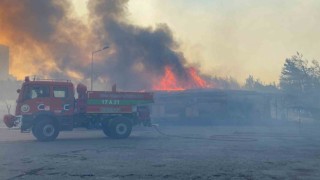 Çanakkaledeki yangında alevler çimento fabrikası liman tesislerine ulaştı