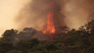 Datçada orman yangınlarına karşı ek önlemler alındı