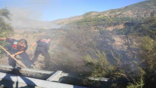 Elazığda 1 saatte 3. yangın: Söndürme çalışmalarına TOMAlar da destek verdi