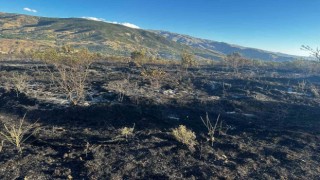 Elazığda yangın: 4 kişi yaralandı, yüzlerce kayısı ağacı yandı
