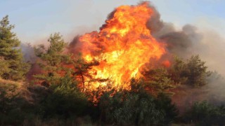 İzmir Selçukta orman yangını: 4 uçak, 8 helikopter ve 44 arazözle müdahale ediliyor