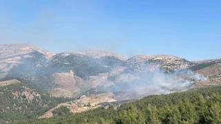 Kahramanmaraşta orman yangını: Ekipler müdahale ediyor