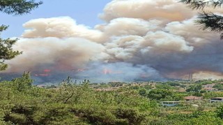 Mendereste orman yangını: Uçaklar ve helikopterler bölgede