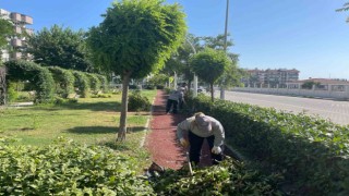 Söke Belediyesi park ve bahçeleri pırıl pırıl yapıyor
