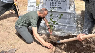Toprakkale ’de mezarlıklarda ağaçlandırma seferberliği