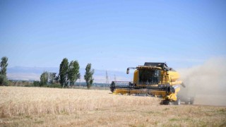 Battalgazi Ziraat Mesleki ve Teknik Anadolu Lisesinde buğday hasadı