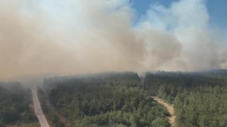 Bursada çıkan orman yangınıyla ilgili Cumhuriyet Başsavcılığı soruşturma başlattı