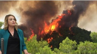 CHP Milletvekili Kara “Orman kaybı fiilen ülkenin kaybıdır”