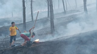 Gaziantepte çıkan anız yangını ormana yayılmadan kontrol altına alındı